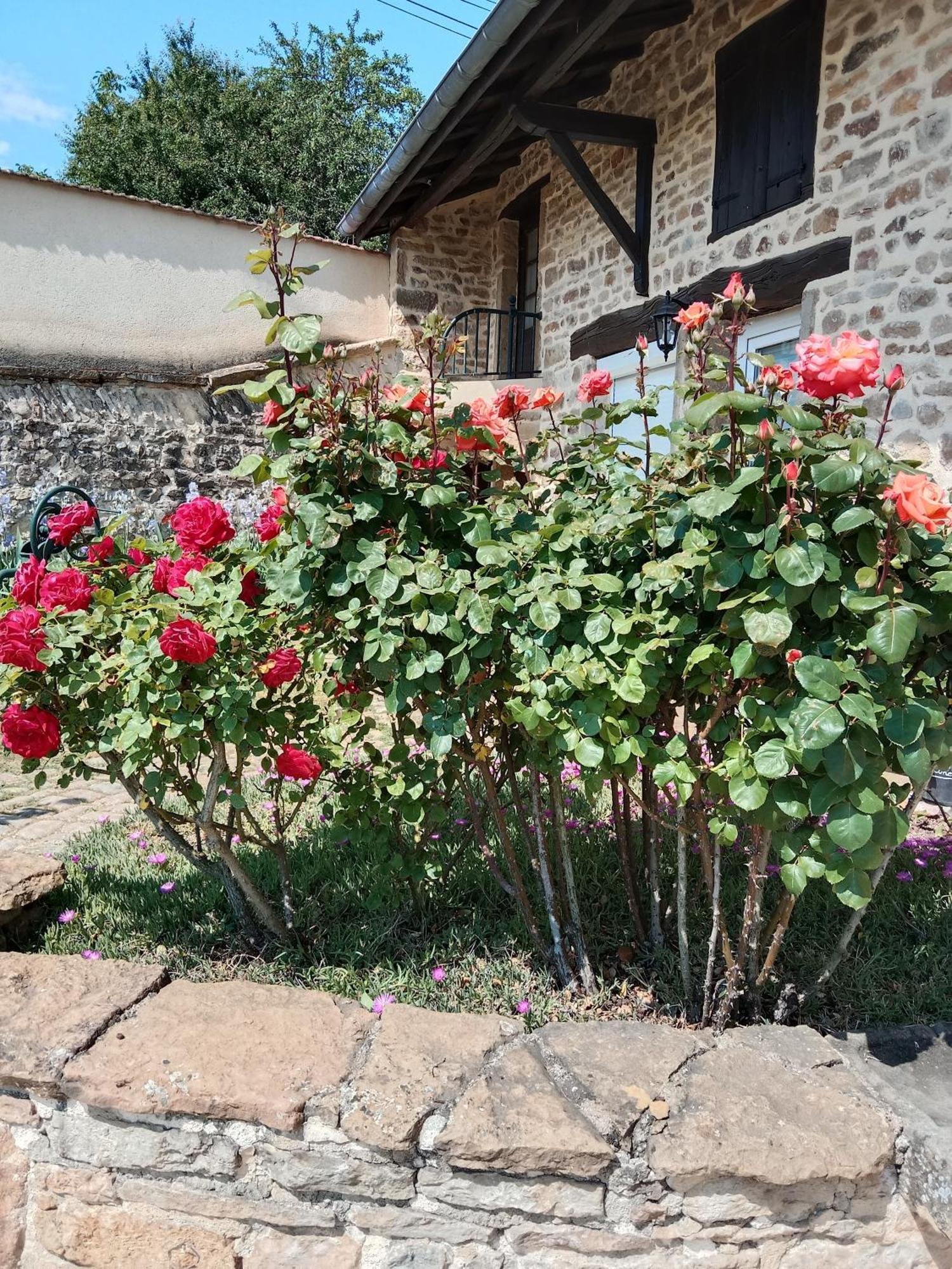 L Olivier De St Leger Bed and Breakfast Chateau  Exteriör bild